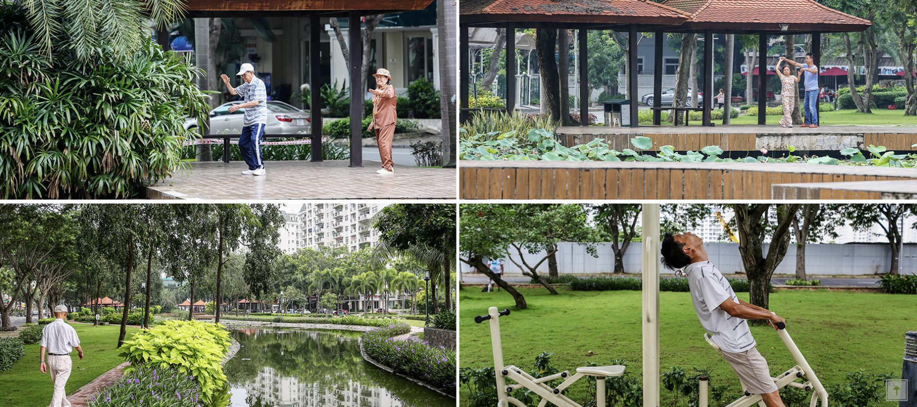 ông viên Nam Viên - Lõi xanh Phú Mỹ Hưng